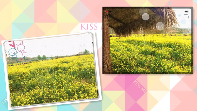 BBunion国际早教青岛中心活动花絮：迎春踏青之旅